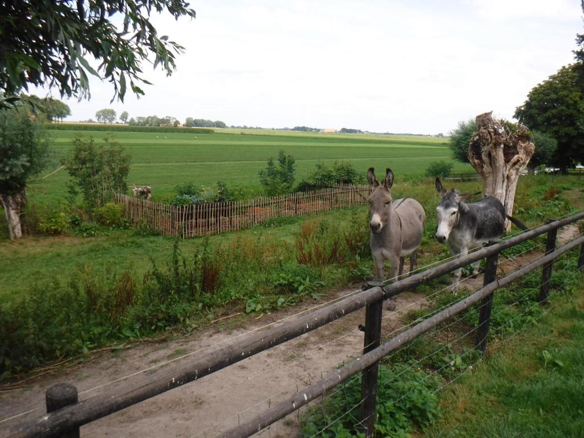 Benb Erf 9 Bed & Breakfast Кампен Екстериор снимка